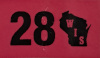 2028 Wisconsin License Plate Sticker