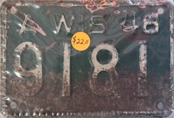 Wisconsin Steel License Plate